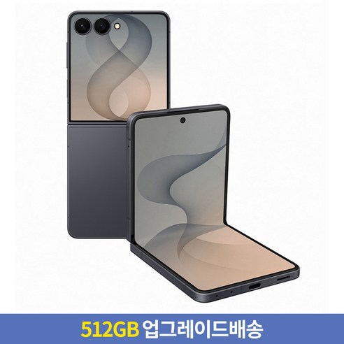 갤럭시 Z 플립8 그라파이트 색상