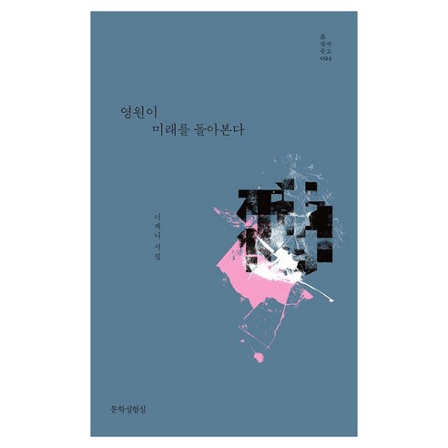 영원이 미래를 돌아본다, 문학실험실, 이제니
