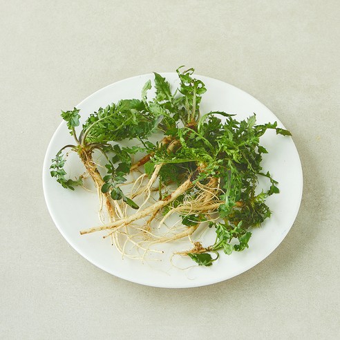 국내산 참냉이, 1개, 150g