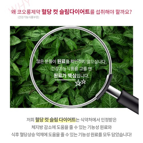 코오롱제약 혈당컷 슬림 다이어트 60정, 1개 실사용 후기 | 효과 있을까? - 상품 이미지 3