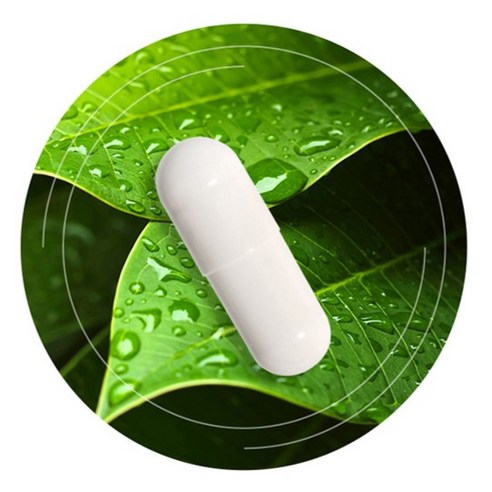 뉴트리디데이 슈퍼 바이탈 100억 유산균 90정, 1개 솔직 후기 | 실사용자 리뷰 분석 - 상품 이미지 4