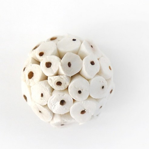 솔라볼 앵무새 장난감 4cm 이미지 2