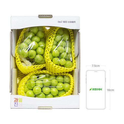 과일진심 샤인머스캣 후기 분석: 깨끗하게 씻은 샤인머스캣