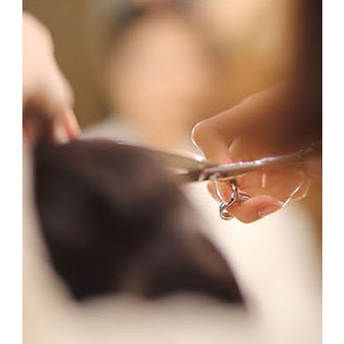 SWYK 일자가위 이미지 4