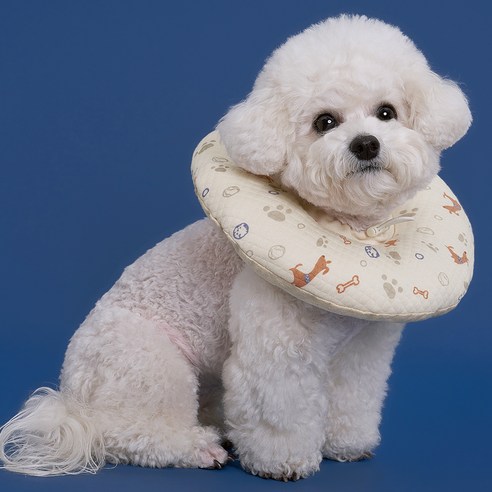 도그아이 반려동물 목화솜 쿠션 넥카라 솔직 후기 | 실제 사용자 리뷰 총정리 - 상품 이미지 2