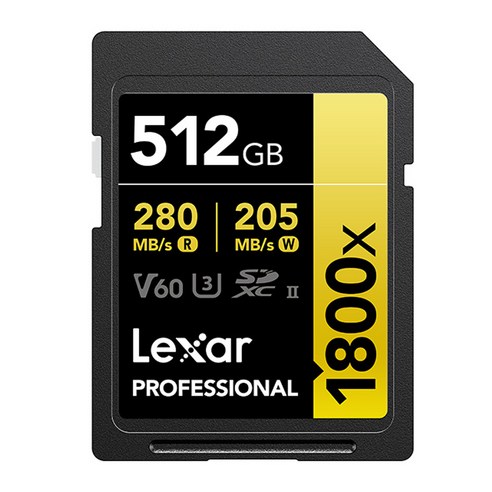 렉사 Professional 1800x SD카드, 512GB, 1개