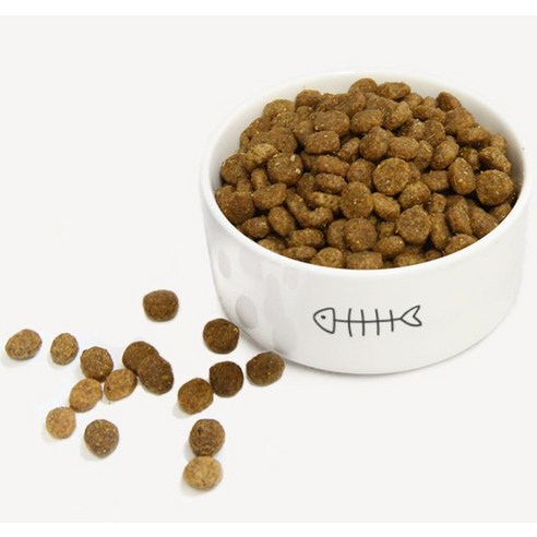 내추럴발란스 어덜트 강아지 LI 그레인프리 레시피 건식사료 솔직 후기 | 실제 사용자 리뷰 총정리 - 상품 이미지 3