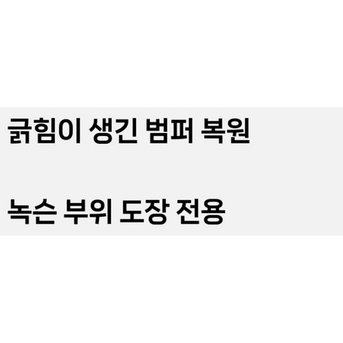 현대모비스 붓펜 카페인트 이미지 4