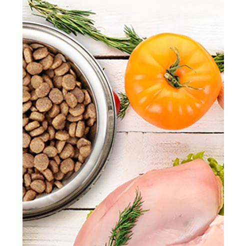 사조투펫 전연령 강아지 퍼포먼스 중대형 건식사료 솔직 후기 | 실제 사용자 리뷰 총정리 - 상품 이미지 3