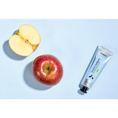 쿤달 반려동물 칫솔 + 치약 60g 세트 사과향 이미지 2