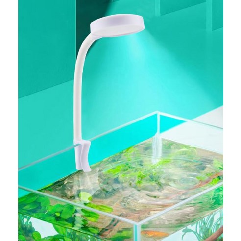 당신의 작은 세상이 더 환해지는 마법