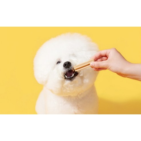 라무달리 강아지 말랑 덴탈츄러스 31p 이미지 4