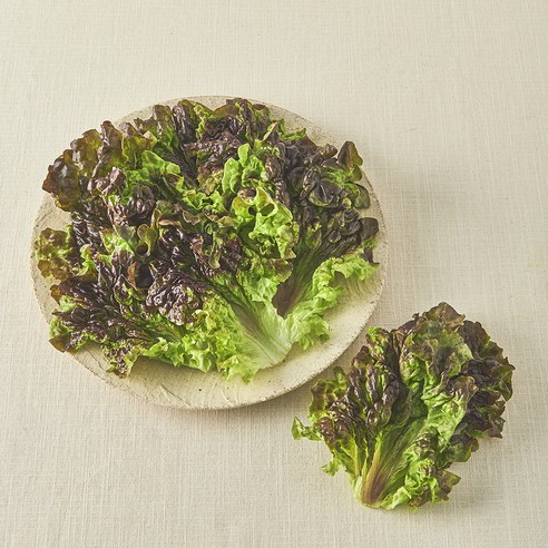 친환경 한끼 적상추, 80g, 1개