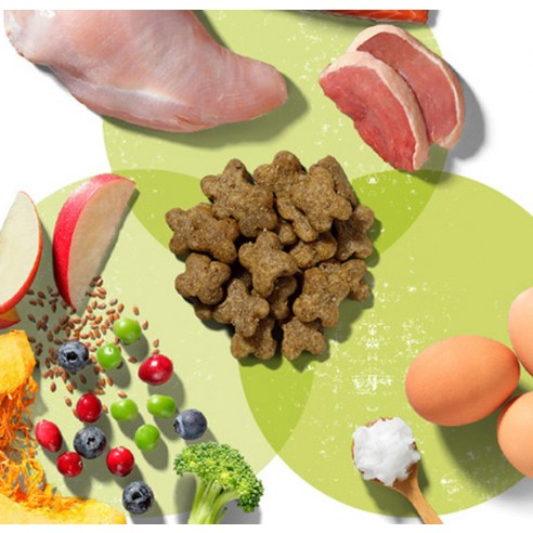 now 어덜트 강아지 그레인프리 스몰브리드 건식사료 솔직 후기 | 실제 사용자 리뷰 총정리 - 상품 이미지 3