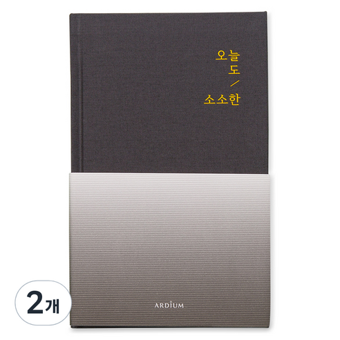 아르디움 오늘도 소소한 다이어리, 애쉬그레이, 2개