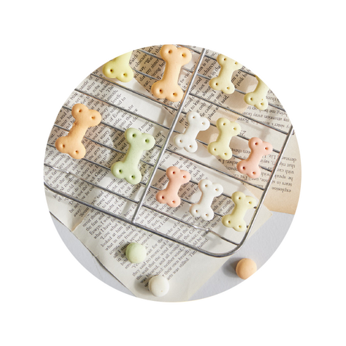 비스코티 반려동물 비스켓 솔직 후기 | 실제 사용자 리뷰 총정리 - 상품 이미지 3