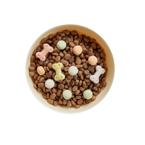 비스코티 반려동물 비스켓 솔직 후기 | 실제 사용자 리뷰 총정리 - 상품 이미지 4