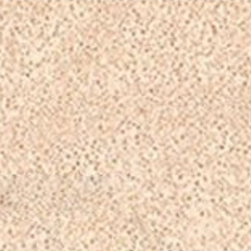 정샘물 에센셜 스킨 누더 쿠션 파운데이션 14g + 리필 쿠션 14g 세트 이미지 2