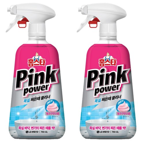 홈스타 핑크파워 욕실 찌든때 클리너, 2개, 750ml