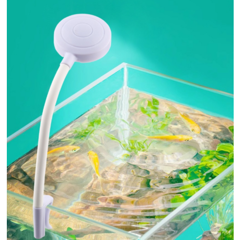 당신의 작은 세상이 더 환해지는 마법