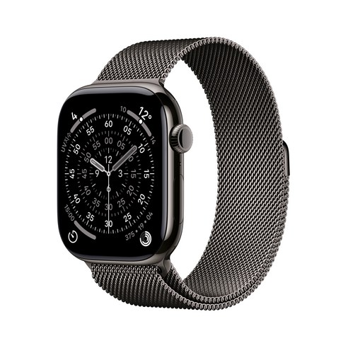 Apple 2025 애플워치 11, 슬레이트, 46mm, GPS+Cellular, 티타늄,슬레이트/슬레이트 밀레니즈 루프, M/L