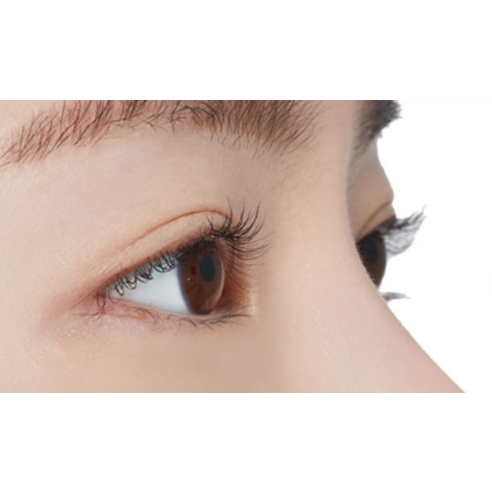 에뛰드 닥터마스카라 픽서 포 퍼펙트 래쉬 6ml 이미지 4