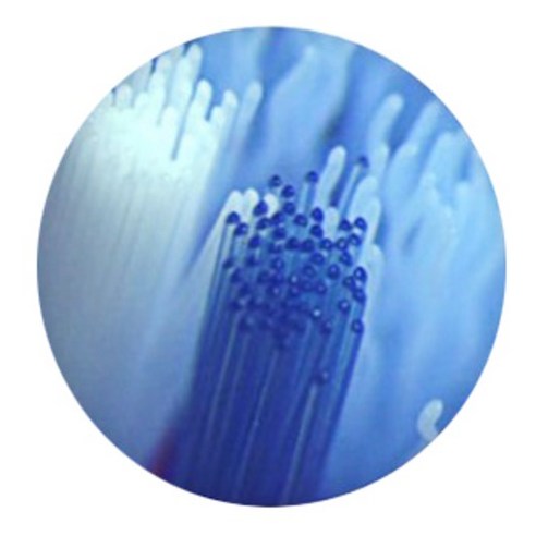 오랄비 바이탈리티 키즈 전동칫솔 솔직 후기 | 실사용자 리뷰 분석 - 상품 이미지 4