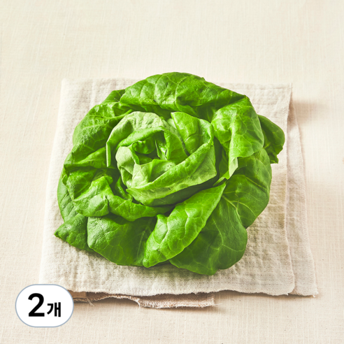 국내산 무농약 버터헤드레터스, 90g, 2개