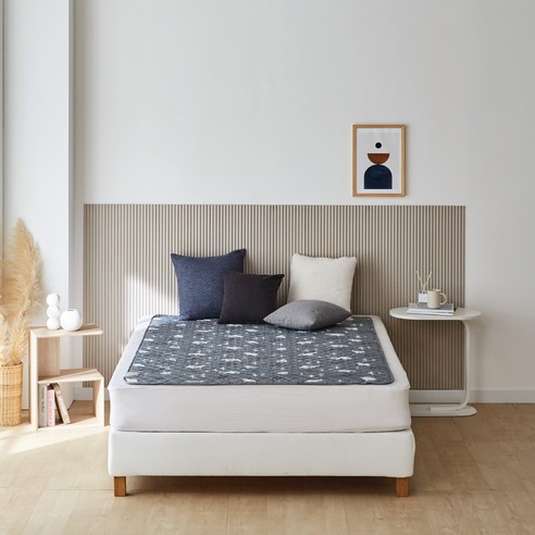 한일의료기 탄소열선 고급 전기요 HL-D205(25) 솔직 후기 | 실사용자 리뷰 분석 - 상품 이미지 2