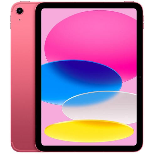 Apple 정품 2022 아이패드 10세대 Cellular 256GB
