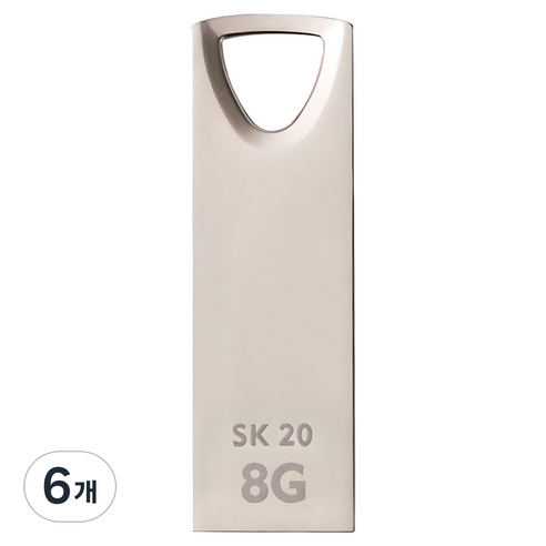 액센 SK20 USB 2.0, 8GB, 6개