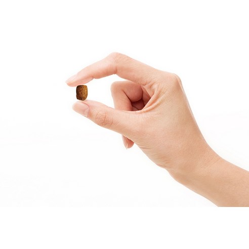 ANF 전연령용 독 소프트사료 솔직 후기 | 실제 사용자 리뷰 총정리 - 상품 이미지 4