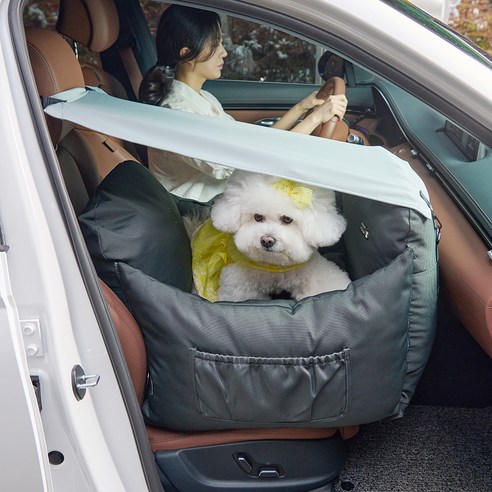 낫쏘빅 앤 아이소픽스 강아지 카시트 추천 상품