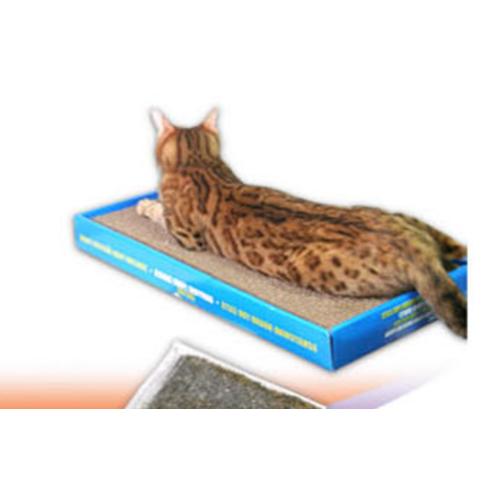 할로 평판형 스크래쳐 이미지 3