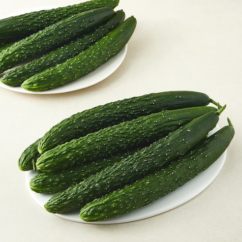 가시오이(15~25입), 5kg, 1박스