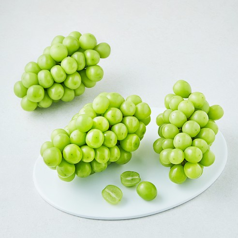 과일진심 샤인머스캣 후기 분석: 신선한 포도알 클로즈업