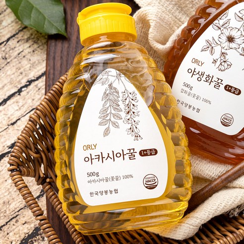ORLY 1+등급 프리미엄 아카시아꿀 500g, 2개 이미지 3