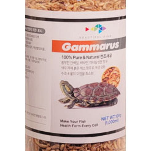 거북이의 건강하고 행복한 식사를 위한 최고의 선택