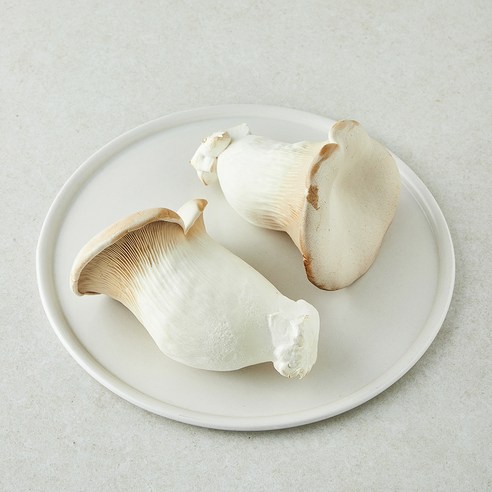 친환경 설원버섯, 1개, 400g
