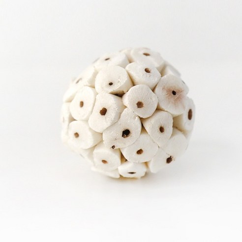 솔라볼 앵무새 장난감 4cm 이미지 3