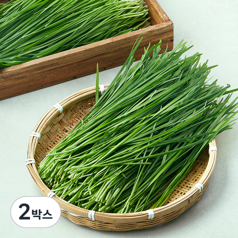 국내산 부추, 4kg, 2박스