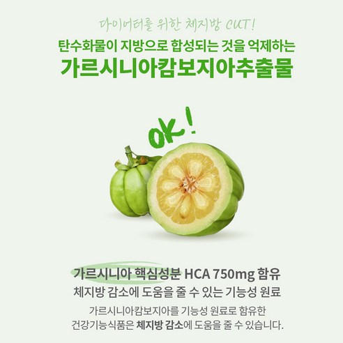 코오롱제약 혈당컷 슬림 다이어트 60정, 1개 실사용 후기 | 효과 있을까? - 상품 이미지 4