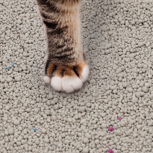 코멧 펫 벤토나이트 응고형 고양이 모래 벌크 이미지 3