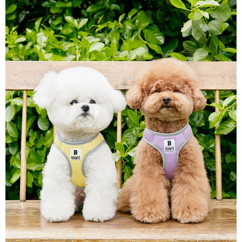 베니즈 베이직 하네스 이미지 3