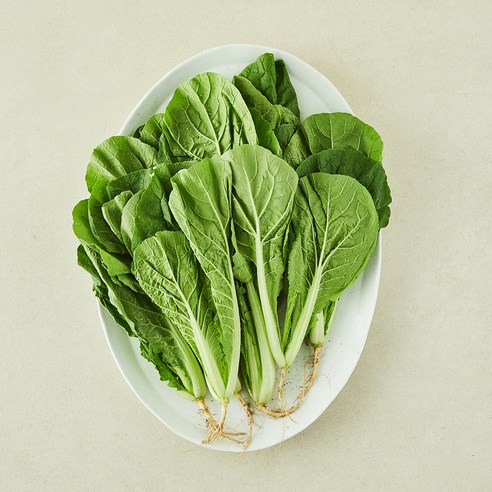 국내산 어린 얼갈이배추, 500g, 1개, 1개입