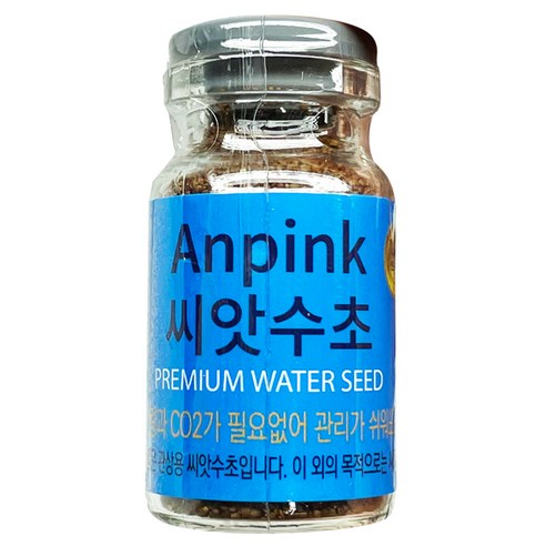 삭막했던 내 책상 위 작은 풍경에 생기가 돌기 시작했어요 씨앗수초