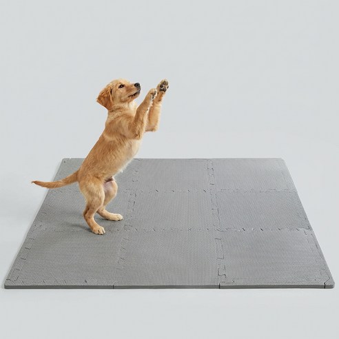 코멧 펫 반려동물 퍼즐 매트 32.5x32.5cm 이미지 4