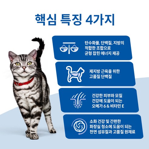 힐스사이언스다이어트 어덜트 고양이 기능성 사료 후기 분석 - 제품 패키지 뒷면 안내