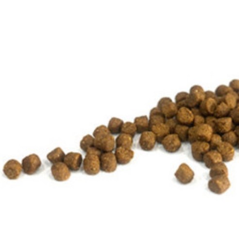 인터펫코리아 강아지 닥터도비 기능성 사료 이미지 4