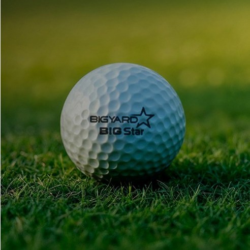 빅야드 넥센 빅스타 고반발 골프공 2피스 42.7mm 이미지 4